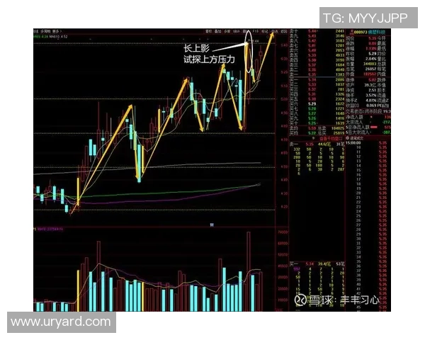 杭州排球队与西安排球队的赛后复盘与节奏分析 杭州排球队与西安排球队的赛后复盘与节奏分析