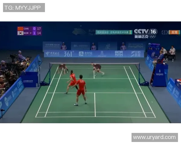 杭州羽毛球队的盯防策略解析与深度剖析