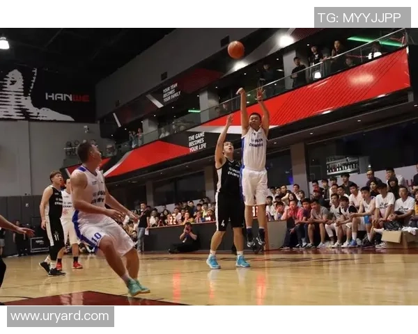 杭州篮球队节奏表现深度分析与数据解读探索