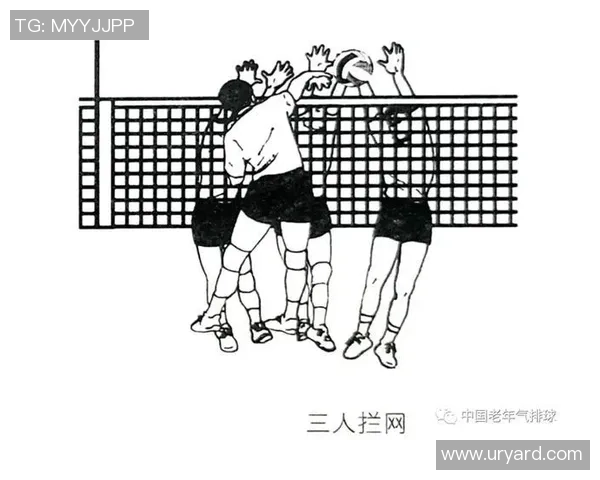 深圳排球队整体压制战术解析及其对排球赛场的影响分析