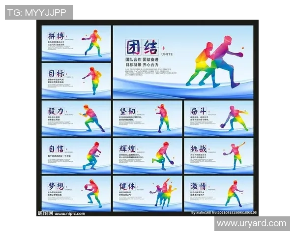 王强独家分享乒乓球技巧与心得助你提升球技的秘诀与经验