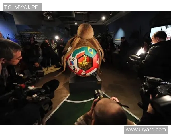 章鱼为何成为足球明星的代名词及其背后的故事揭秘