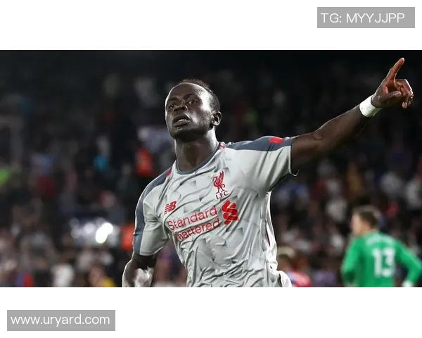 足球明星头像中的法国男孩展现青春活力与梦想追逐的旅程