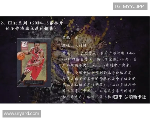 篮球新手攻略：个人能力入门指南