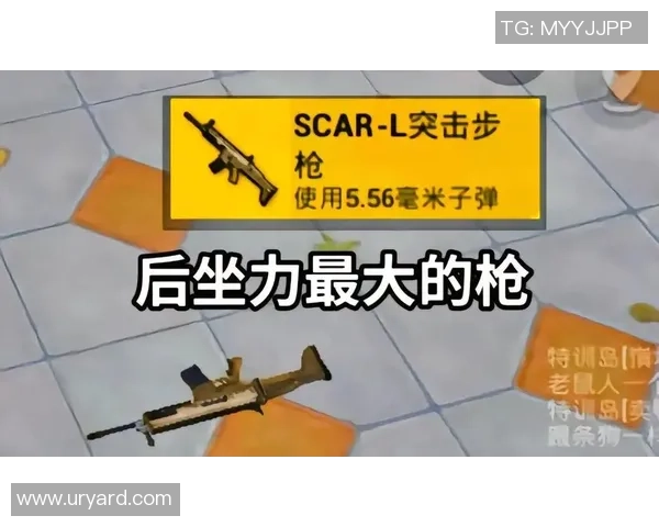 和平精英新手攻略：速度入门指南