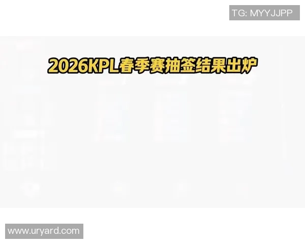 2026王者荣耀比赛经验排行榜：V5位居第4名