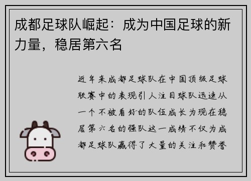 成都足球队崛起：成为中国足球的新力量，稳居第六名