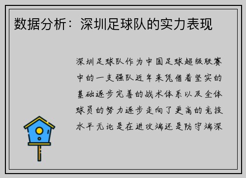 数据分析：深圳足球队的实力表现
