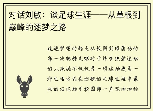 对话刘敏：谈足球生涯——从草根到巅峰的逐梦之路