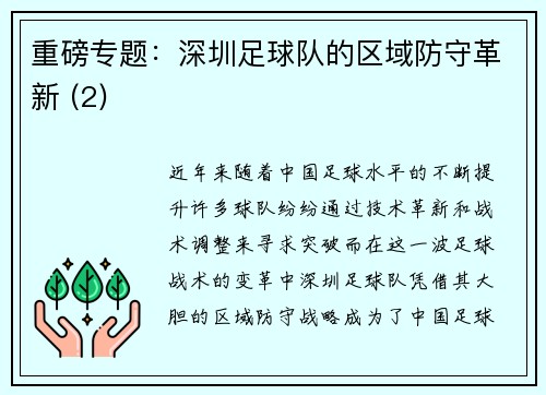 重磅专题：深圳足球队的区域防守革新 (2)