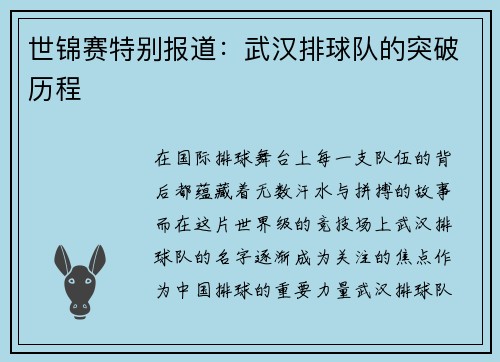 世锦赛特别报道：武汉排球队的突破历程